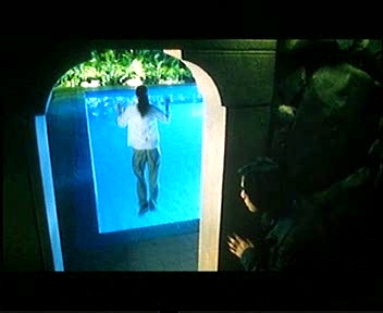 star19.jpg (50025 bytes)