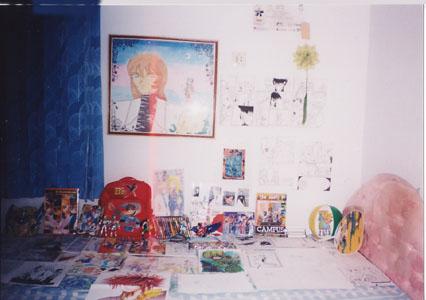 MY Colection