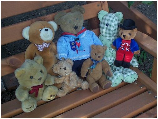 all my bears