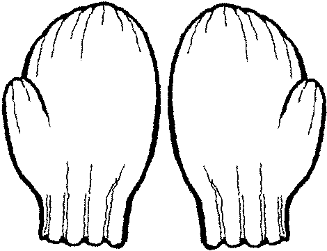 mitten pattern