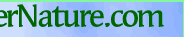 Search MotherNature.com