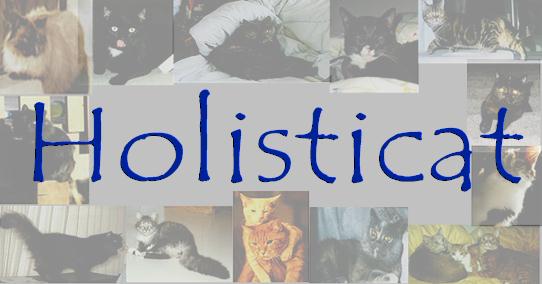 The Original Holisticat (TM) - Site Banner