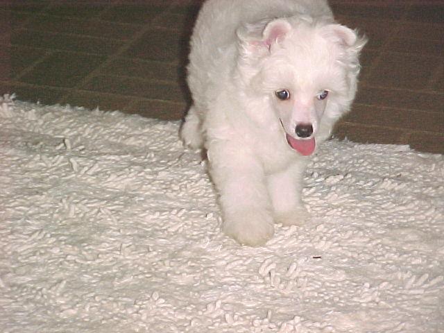 3 mos