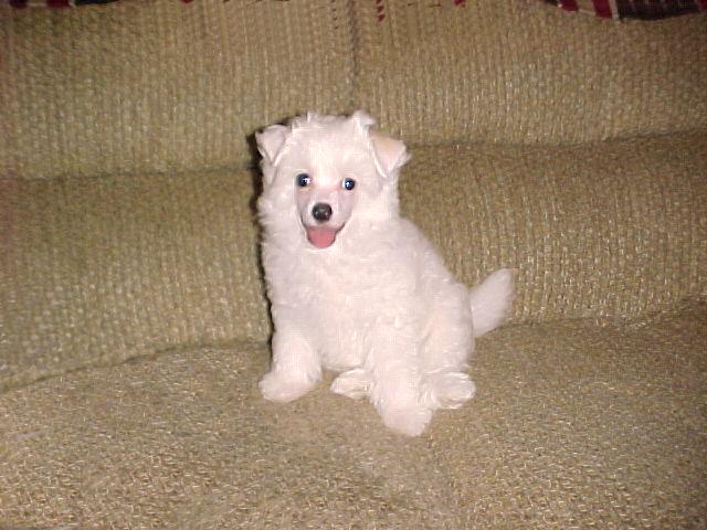 3 mos