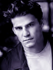 Lane Larson