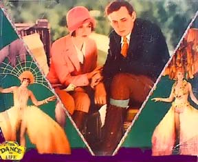 hollybee collection