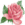 rosebud