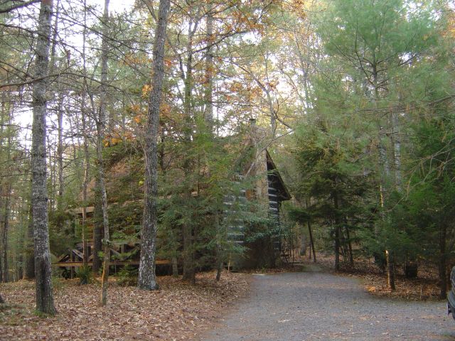 View from driveway.