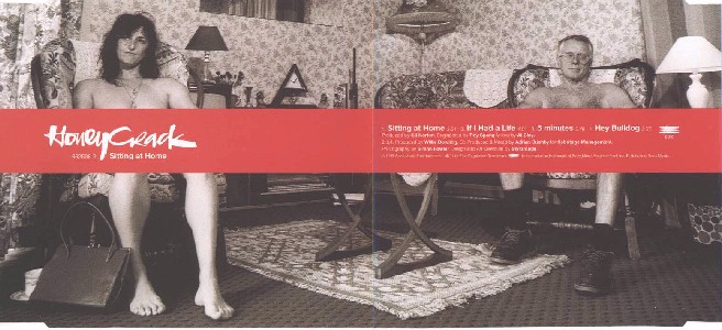 Sitting At Home - 1 CD Sleeve
