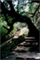 Banyas National Park