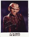 Quark