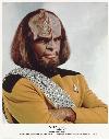 Lt. Cmdr. Worf