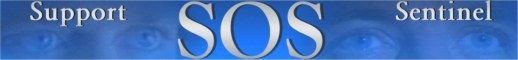 http://www.oocities.org/TelevisionCity/Stage/6325/sosindex.html
