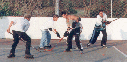 Autohock gif