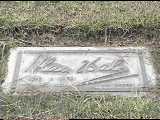 Alan Hale Sr