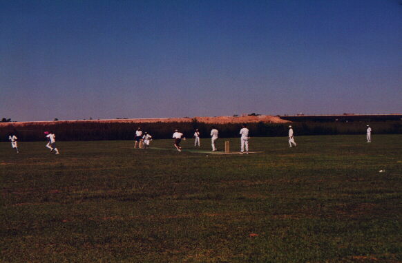 Cricket Match