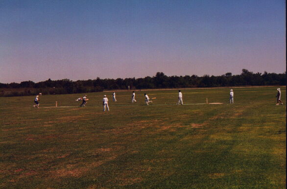 Cricket Match