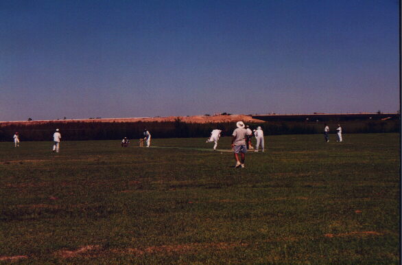 Cricket Match