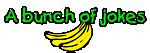 A bunch of jokes from the joke monkey