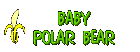 The Baby Polar Bear