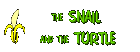 The Turtle and the Snail