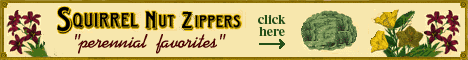 Click_Here_to_buy_it
