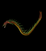 rat.gif - 18546 Bytes