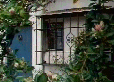 Window