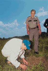 planting 4 industrial hemp seeds