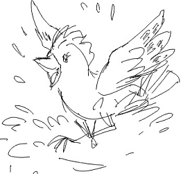 Jay-bird altmode box art