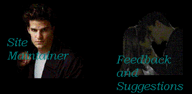 Site Maintainer--Feedback and Suggestions