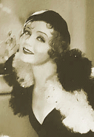 hollybee collection