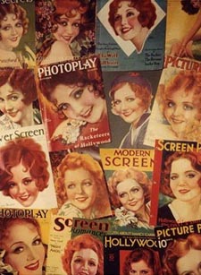 hollybee collection