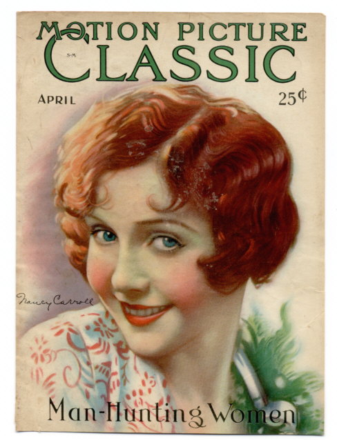 hollybee collection