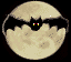 /user/ani-bat.gif