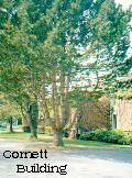Cornett Building