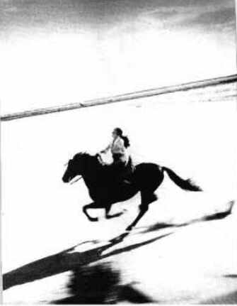Sade riding horse 1988