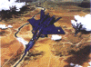 mp12.gif (71211 bytes)