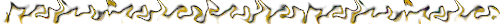 Barra