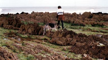 Baf y Dar�o -La Paloma Oct'97 photo by Laura