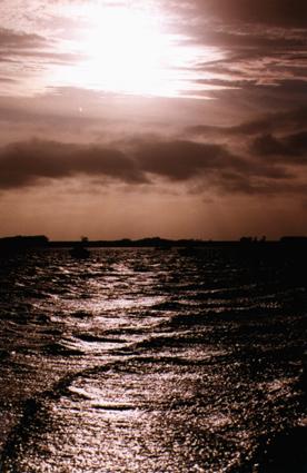 Laguna de Rocha -La Paloma Oct'97 photo by Dar�o