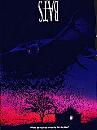 bats.jpg (3542 bytes)