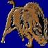 Boar/Sanglier