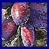 Plums/Prunes