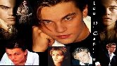 leo.jpg (6455 bytes)