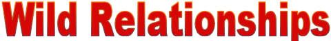 Wild Relationships Logo
