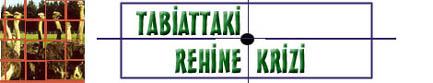 Tabiatte Rehine Krizi