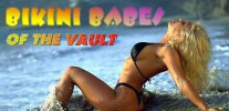 the vault
