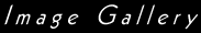 b-images.gif (1223 bytes)