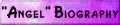 This is a 'Slightly Different Bio on David', written by myself